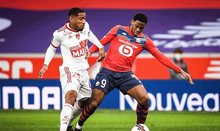 美国杨毅对 美国杨毅对